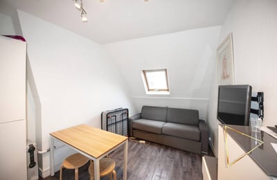 Furnished Studio Apartment for Long-Term Rent in Central Paris with Notre-Dame View